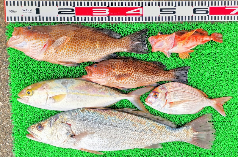 IMG_20251124_150715_edit_2675485544426119