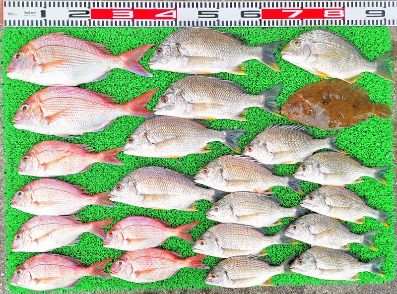 IMG_20220713_181115_edit_618470970044690