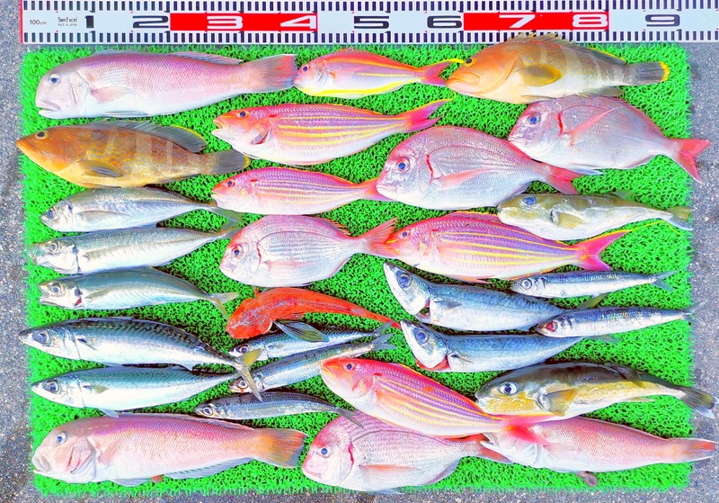 IMG_20220723_154643_edit_873019346057932