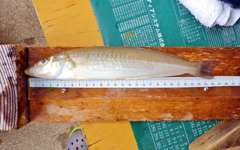 IMGP3972