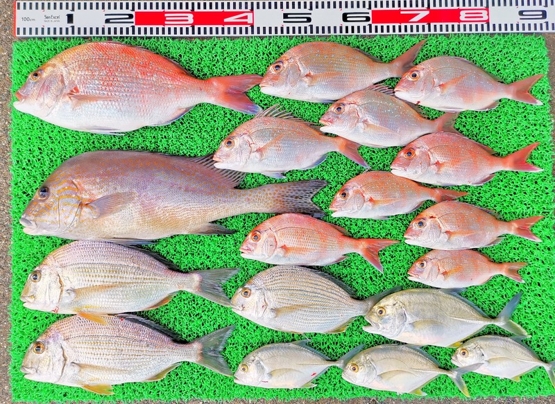 IMG_20231026_160801_edit_804392030889751