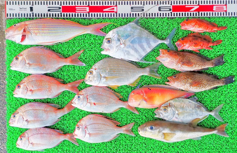 IMG_20231026_143039_edit_804119701625730