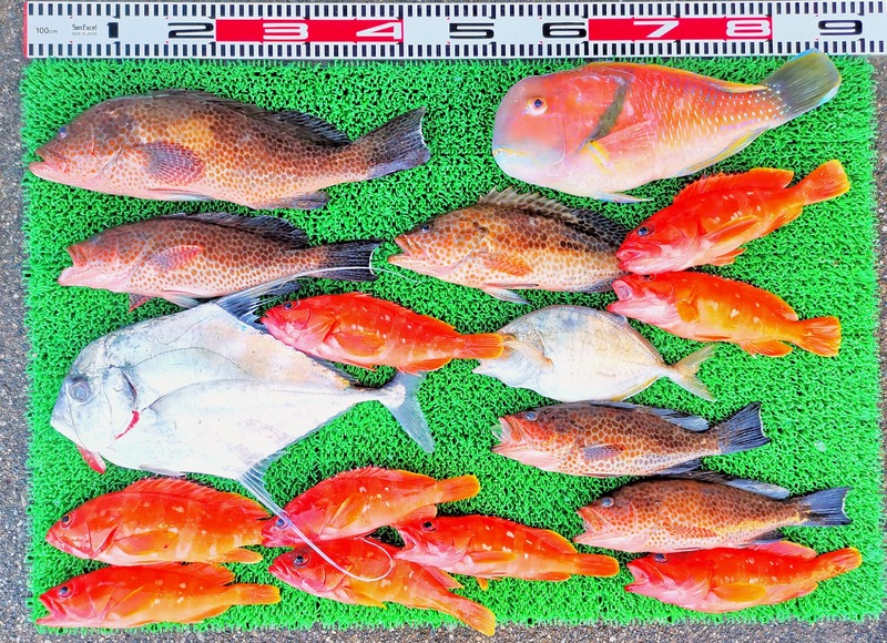 IMG_20251122_153934_edit_2629272998863899