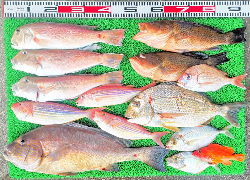 IMG_20251130_153909_edit_2802947263387399