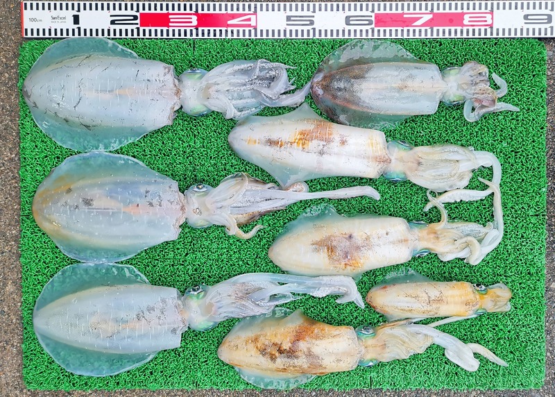 IMG_20251113_154030_edit_2433662244983852