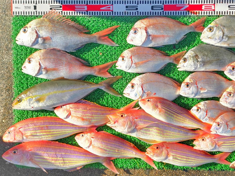 IMG_20211114_151501_edit_1060112995602821