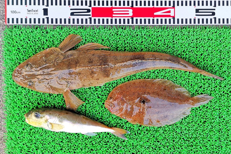 IMG_20211124_163524_edit_1271755617002297