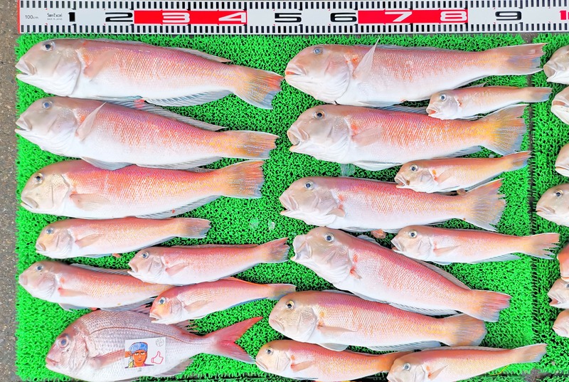 IMG_20241230_165411_edit_603323793929287