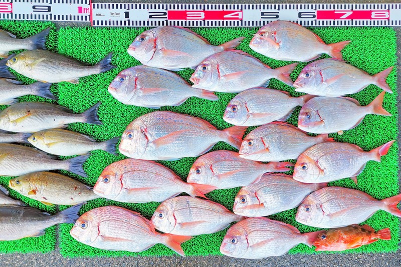 IMG_20260517_162247_edit_2265216787932991