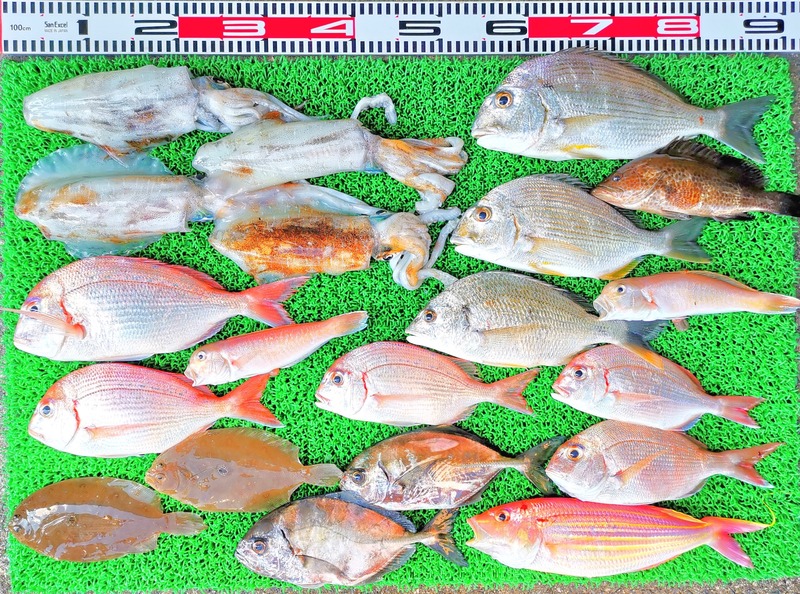 IMG_20230929_141939_edit_572233969302782