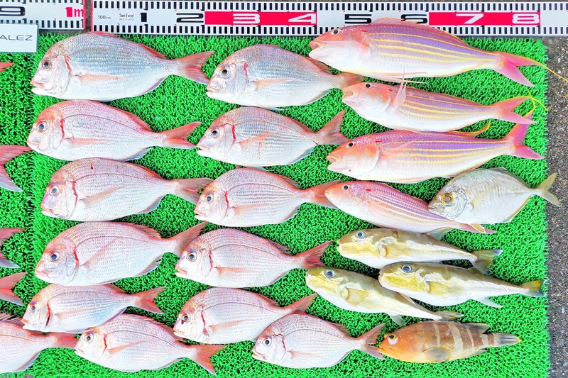 IMG_20251101_164405_edit_2198321068028096