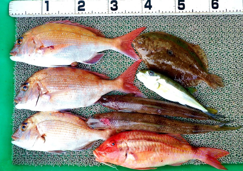 IMGP8789