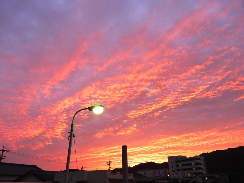 DSCN7594