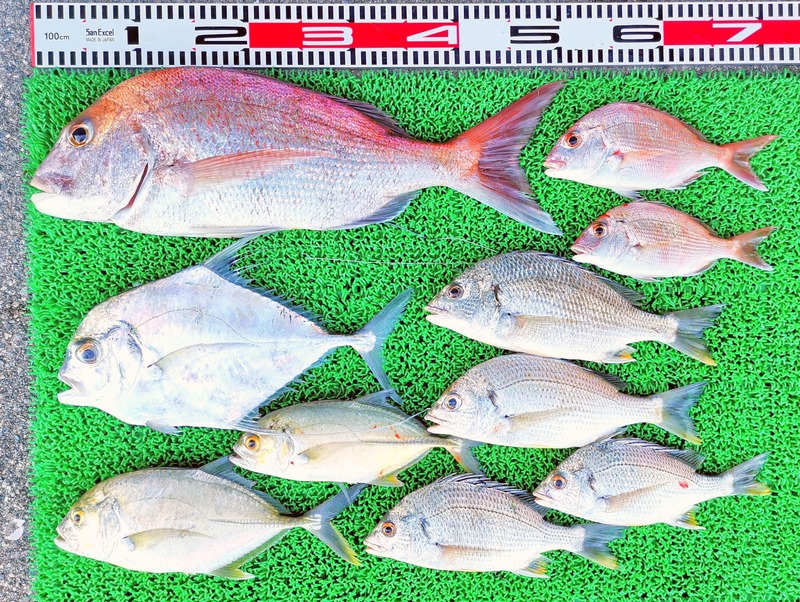 IMG_20251006_163630_edit_1630922049795404