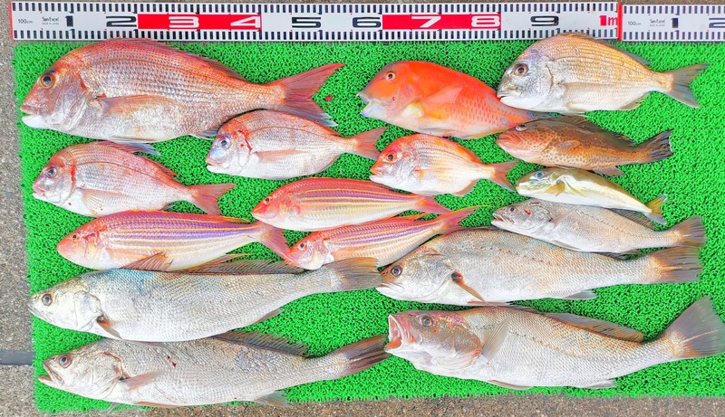 IMG_20241230_153511_edit_602482305236707