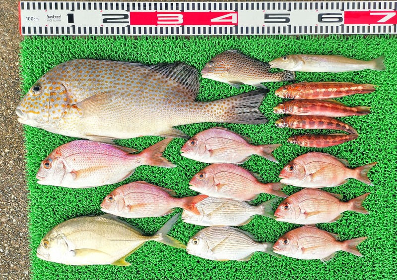 IMG_20251024_145745_edit_2014656578395705