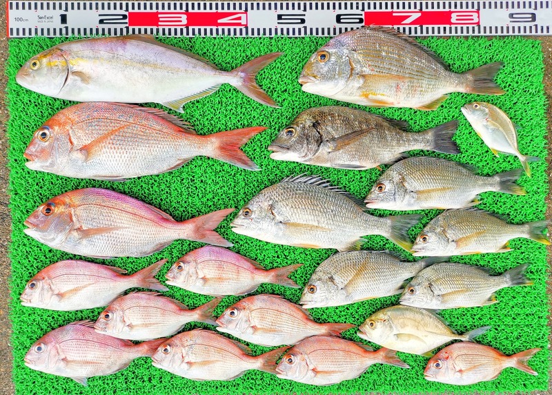 IMG_20230914_153258_edit_489886937430975