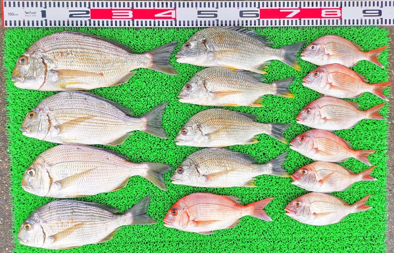 IMG_20220711_170121_edit_564414259594605