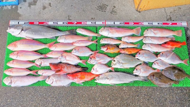 IMG_20251202_155010_edit_2858875698962719