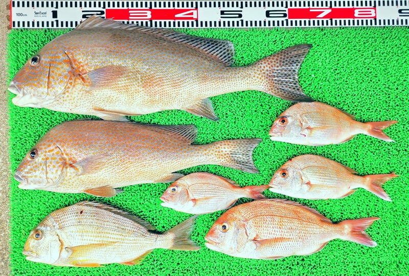 IMG_20251012_155058_edit_1762341028832122