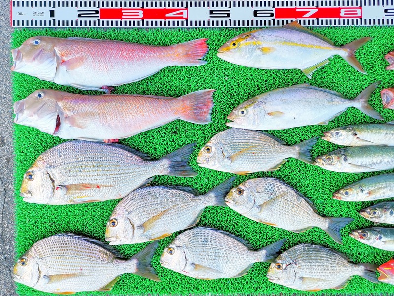 IMG_20251013_163738_edit_1787718926193354