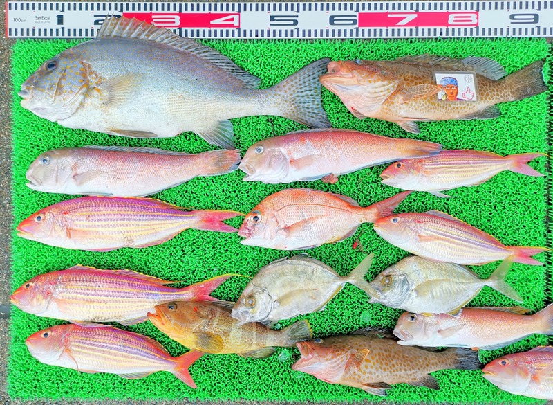 IMG_20250112_162107_edit_52395759113879