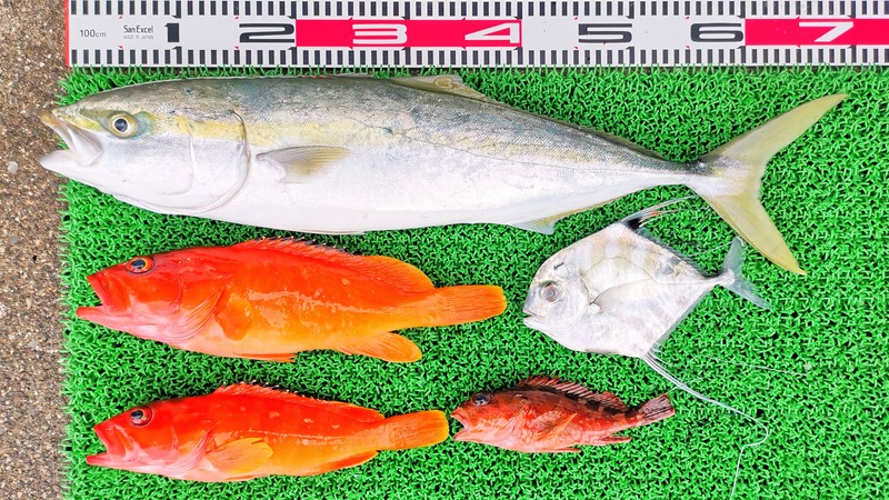 IMG_20211107_154856_edit_963578185851405