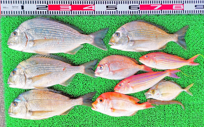 IMG_20260126_160649_edit_128826519443362