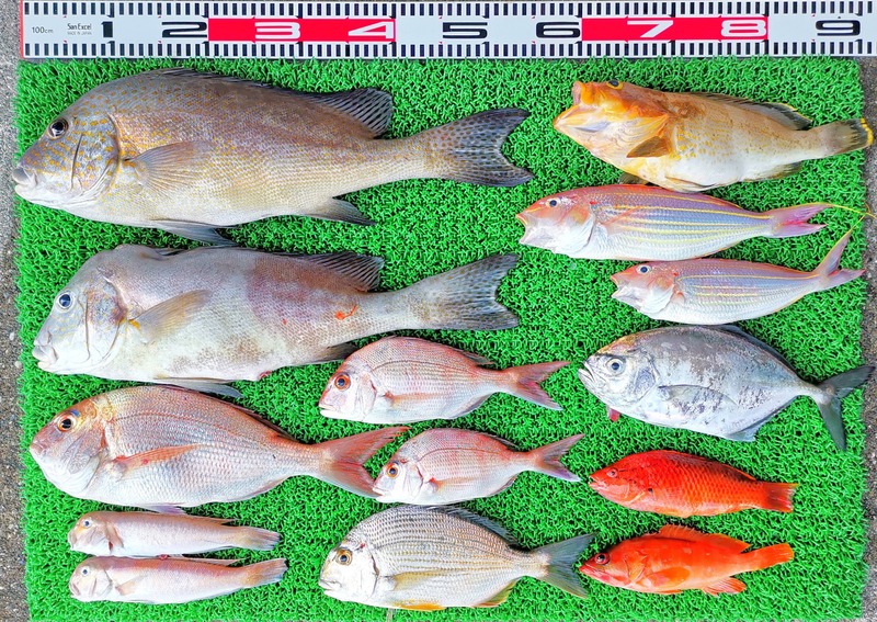 IMG_20230929_145335_edit_572349728998598