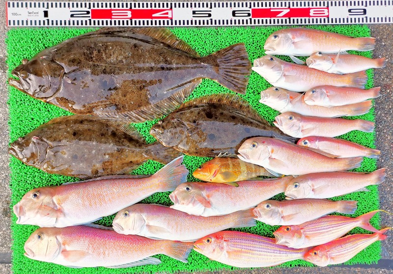 IMG_20241230_160048_edit_602792201121035