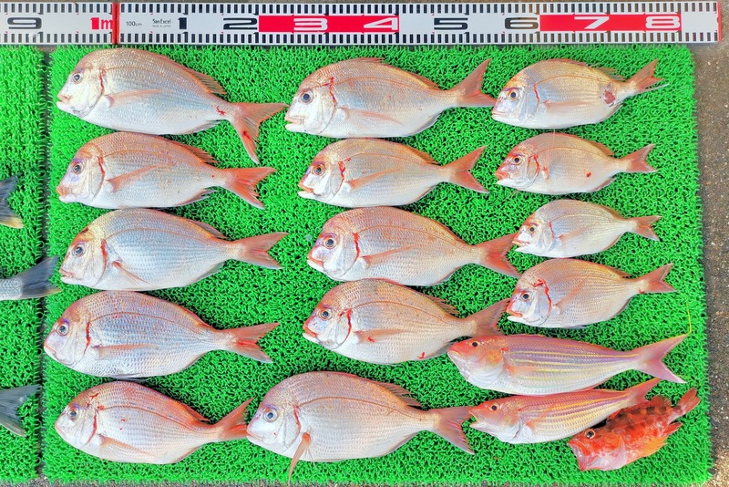 IMG_20251116_130322_edit_2500615225436656