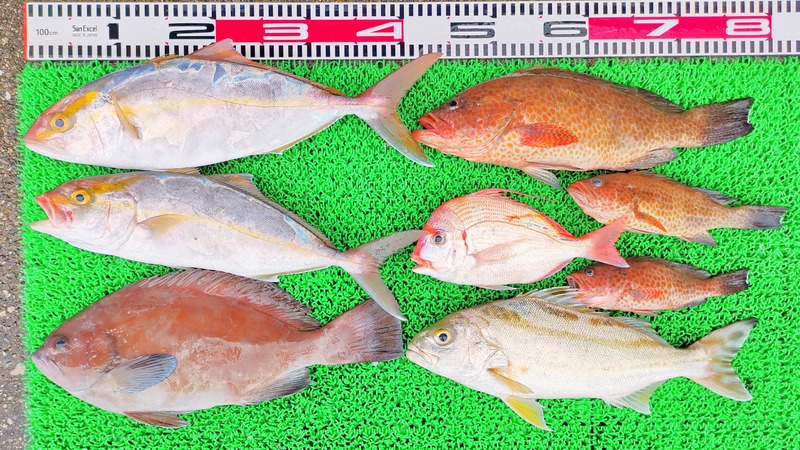 IMG_20251105_152201_edit_2287916302854529