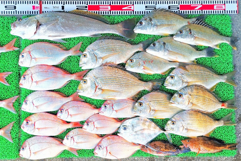 IMG_20251107_145554_edit_2324348603348970