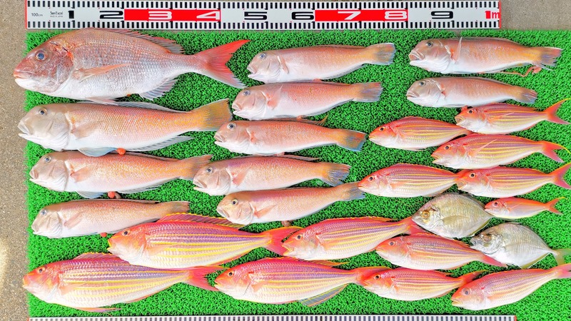 IMG_20230416_132019_edit_130312015525947