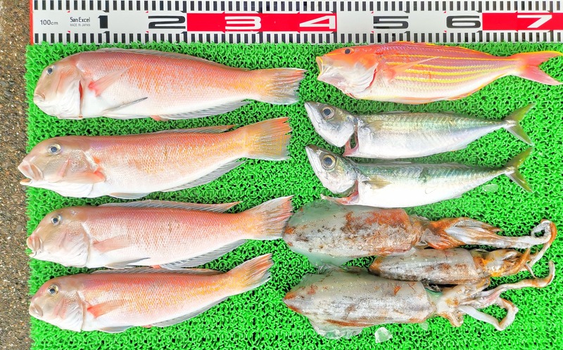 IMG_20220718_142755_edit_740210854771426