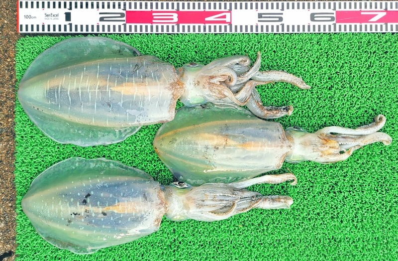 IMG_20260128_155517_edit_171864925335753