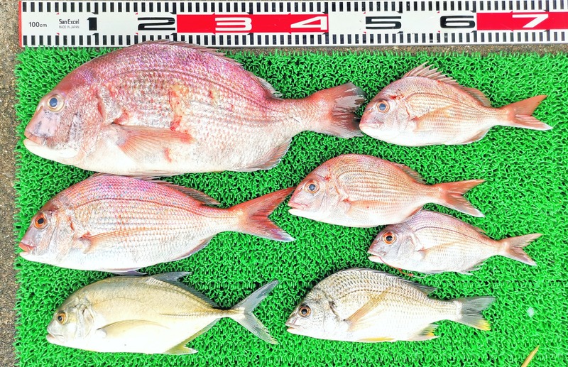 IMG_20251011_153222_edit_1748479057925383