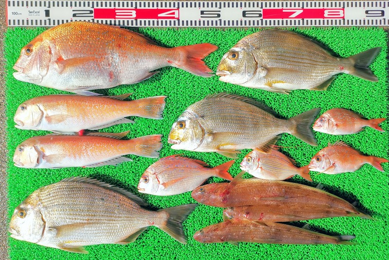 IMG_20260119_142627_edit_3994118118409279