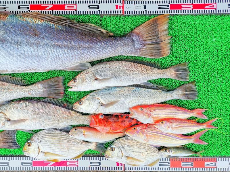 IMG_20251124_162324_edit_2675753250388578