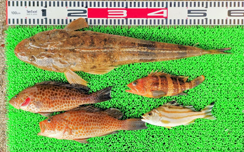 IMG_20241212_135829_edit_273885844091538