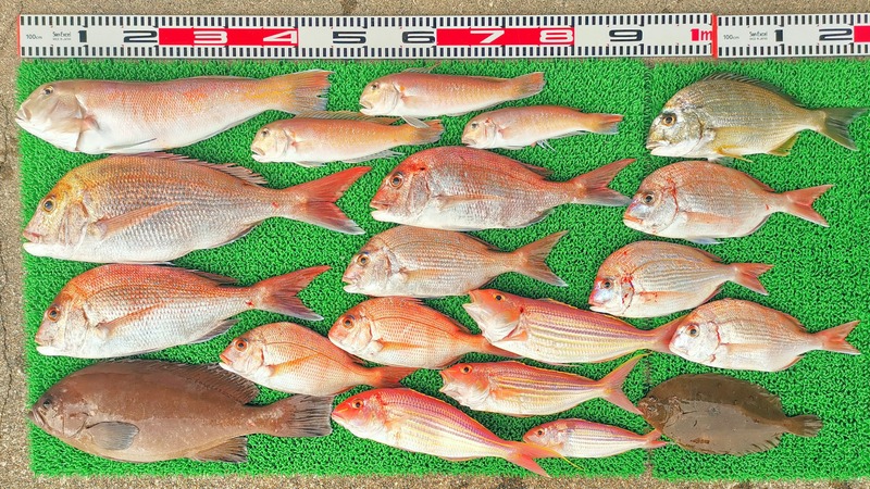 IMG_20251201_142135_edit_2823715828025375