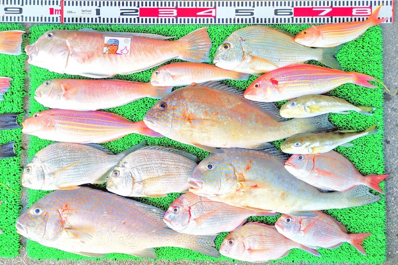 IMG_20251115_152700_edit_2482390397614958