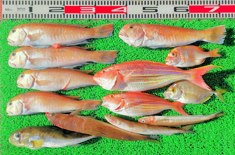 IMG_20260201_151602_edit_272233236781895