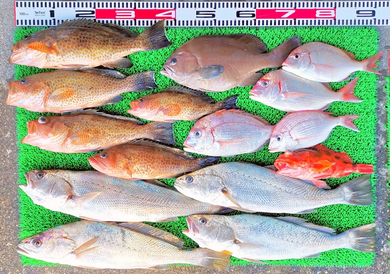 IMG_20251108_152829_edit_2343477423056988