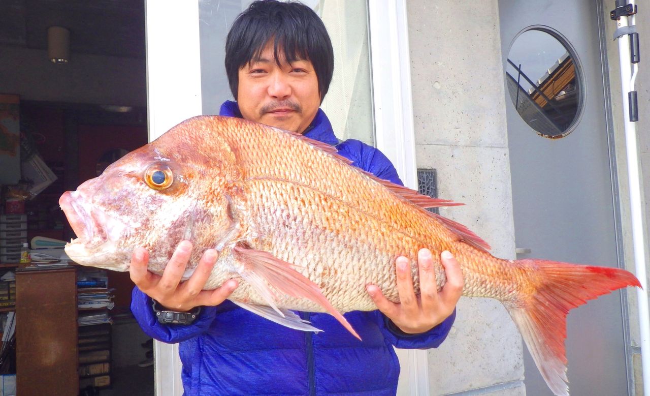 テンヤで真鯛77cm 泳がせ釣りでヒラメ6匹 竹村貸舟店 高知県 浦ノ内湾 宇佐 須崎市横浪半島沖の船釣り 釣果情報 ブログ