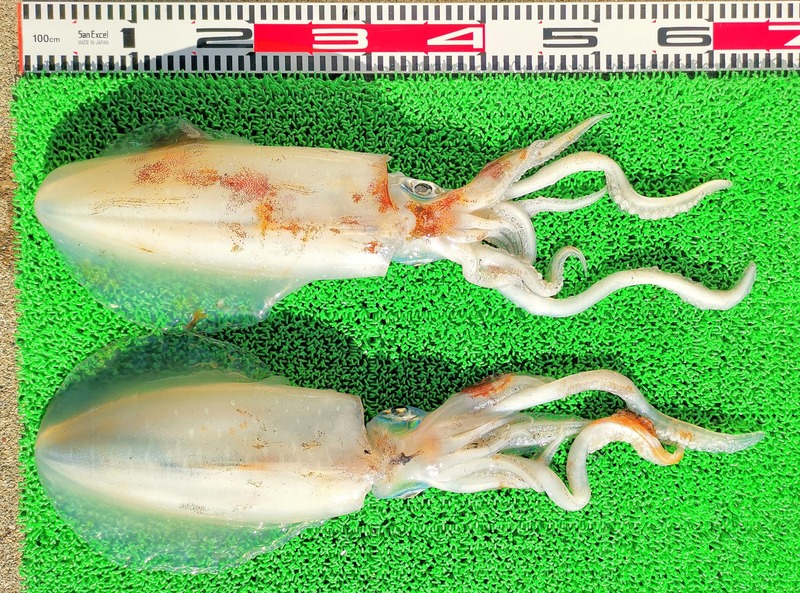 IMG_20250118_144323_edit_169470251611118