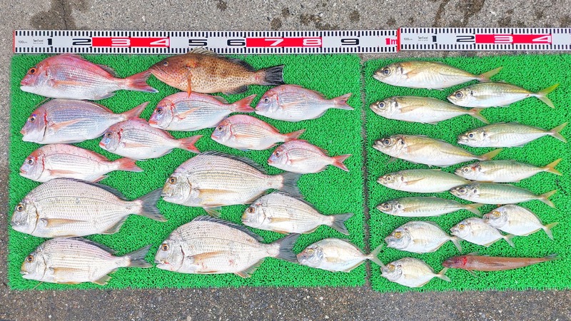 IMG_20251113_145204_edit_2433291005909430