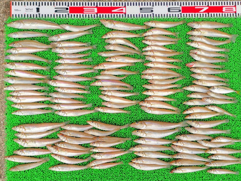 IMG_20210627_135943_edit_705816512510528