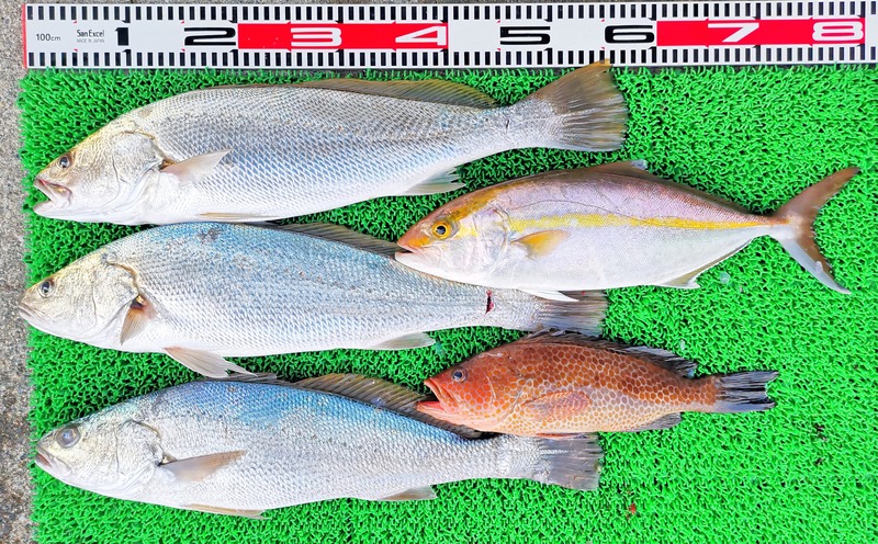 IMG_20251124_163127_edit_2675807827060445