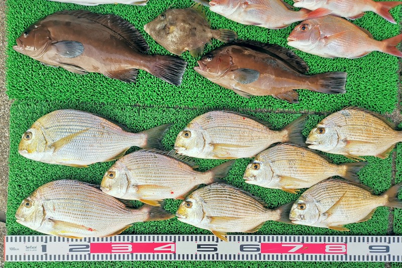 IMG_20251201_140718_edit_2823625345907681